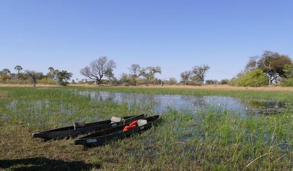 三角洲怎么申请领物资(给我一个三角洲物资申请的模板) 三角洲怎么申请领物资(给我一个三角洲物资申请的模板)