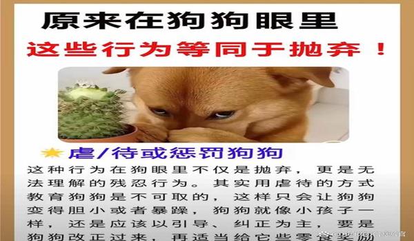 三角洲寻血猎犬被反制(有没有更具体的反制寻血猎犬方法?) 三角洲寻血猎犬被反制(有没有更具体的反制寻血猎犬方法?)